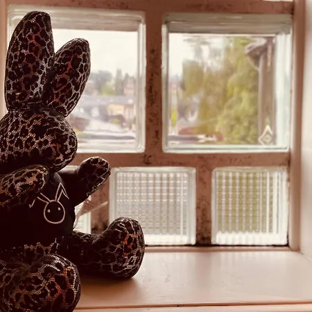 Σπίτι διακοπών La Maison Bridgerton -325